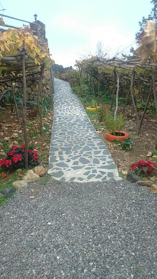הוילה איקוד דה לוס וינוס Casa Canaria La Moncloa מראה חיצוני תמונה